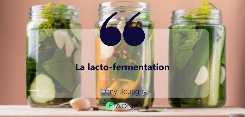 La lacto-fermentation – Dany Boutigny