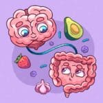 lien intestin cerveau