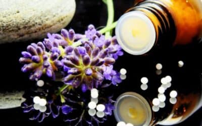Tous les professionnels en naturopathie ont-Ils des compétences en réflexologie ? Enrichir vos compétences pour une prise en charge complète