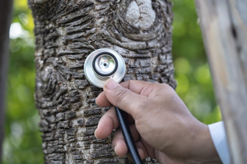 naturopathe